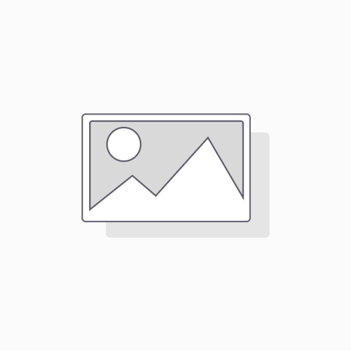 Translation Services